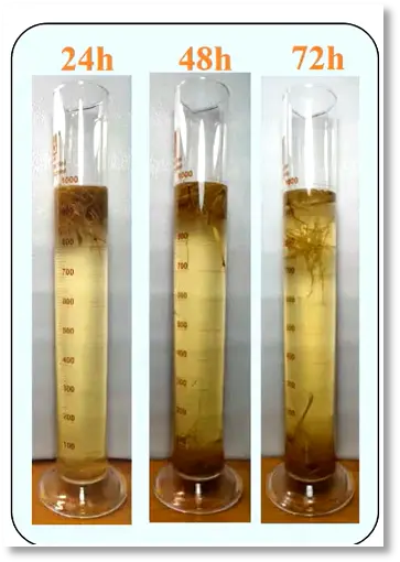 3. Ponto chave de pré-tratamento de biogás de palha madura-Aumentar a hidrofilicidade da matéria-prima